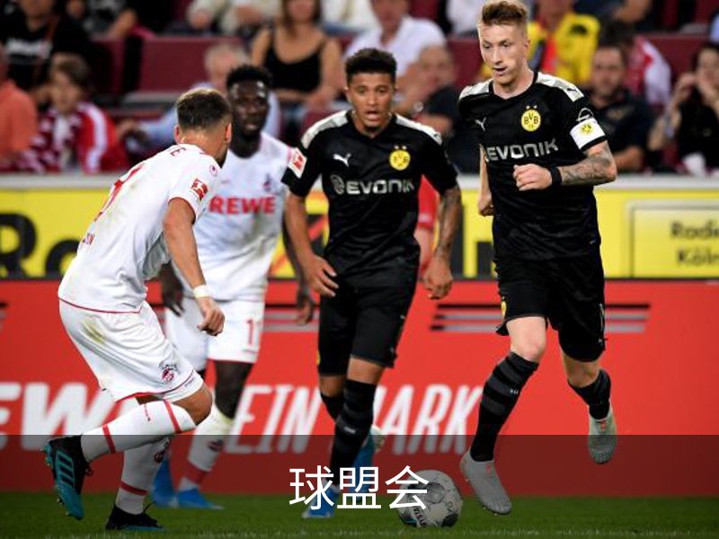 球盟会介绍